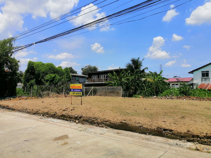 H1066 ขายด่วน ที่ดินถมแล้ว 90 ตร.วา อยู่ซอยงามวงศ์วาน31 แยก16 ใกล้พันธ์ทิพย์ งามวงศ์วาน ที่สวย กว้าง 22 เมตร ลึก 15 เมตร เข้าออกถนนประชาชื่นได้