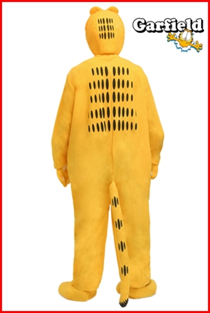 ชุดการ์ฟิลด์