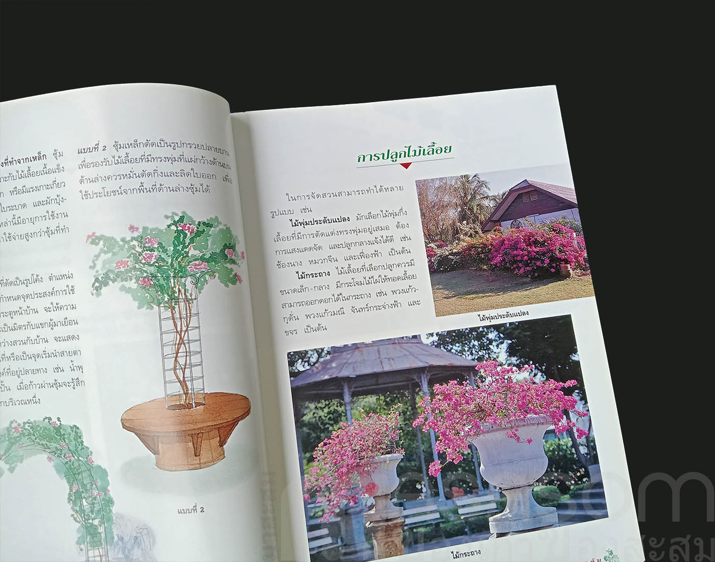 หนังสือไม้เลื้อยประดับ