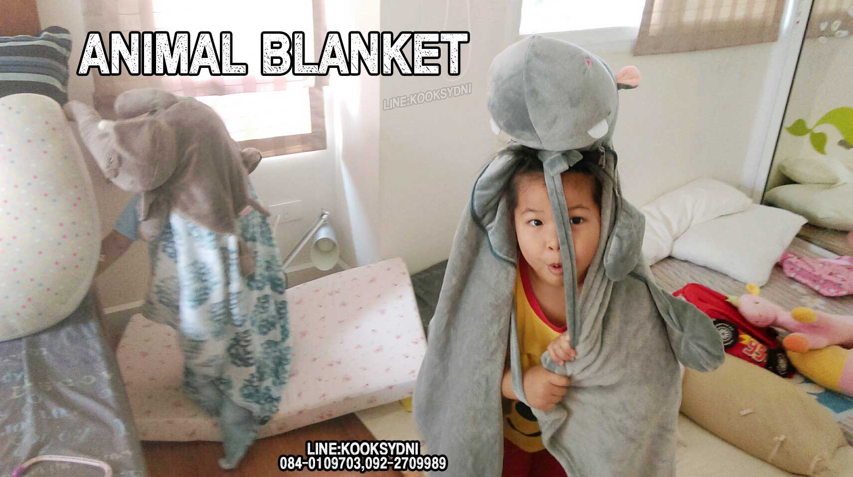 ANIMAL BLANKET ช้างช้างช้าง