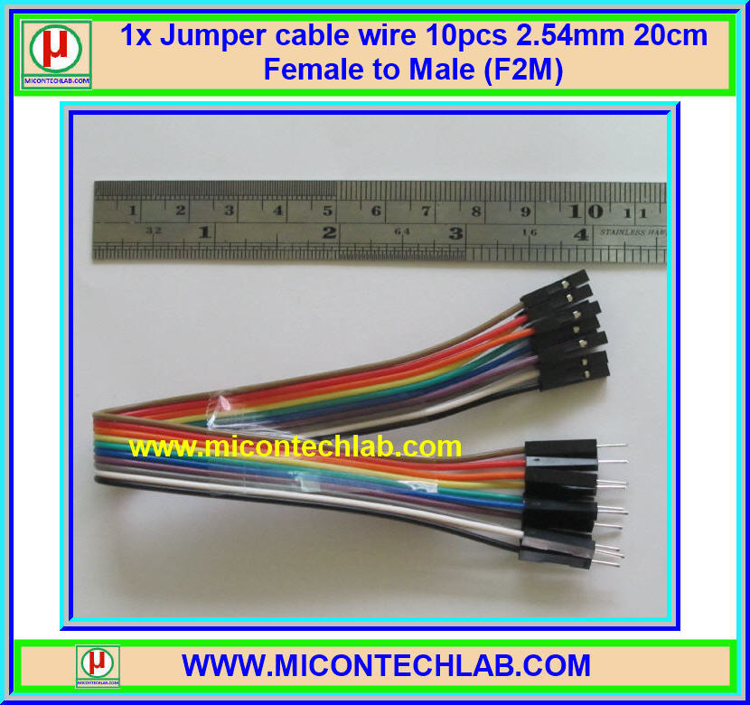1x จั๊มเปอร์ปลายผู้เมีย (F2M) 10 เส้น 20 ซม. (Jumper)