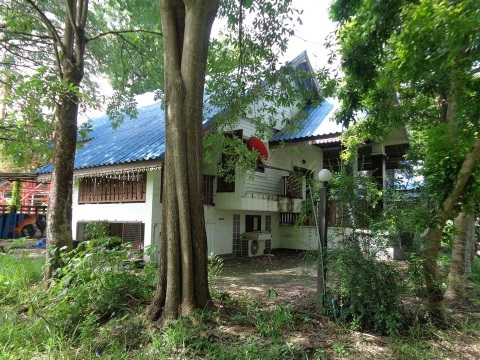 🚩H1273 ขายที่ดินทำเลดี ย่านธุรกิจ 4 -1 -68 ไร่ ติดถนนท่ามะนาว ใกล้ที่ว่าการอำเภอชัยบาดาล จังหวัดลพบุรี