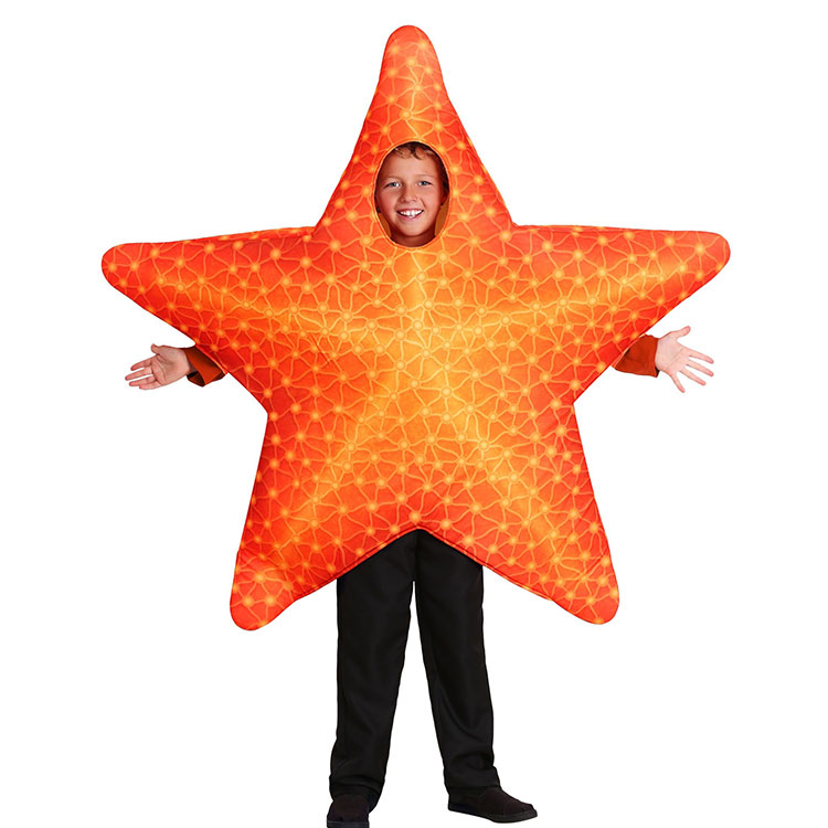 ชุดปลาดาว