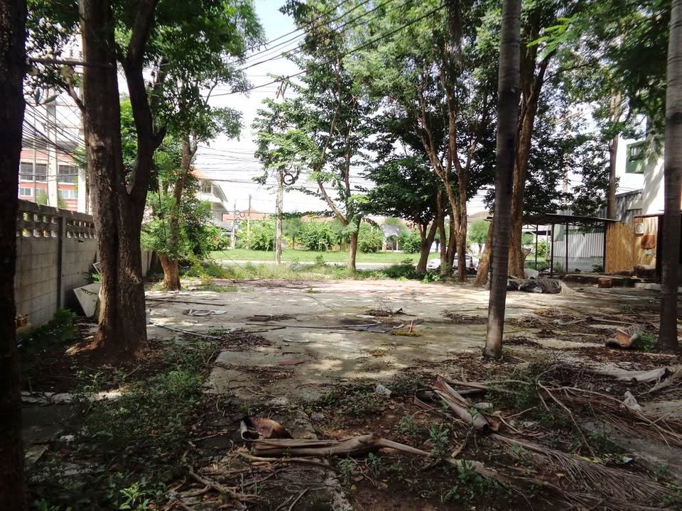 🚩H1273 ขายที่ดินทำเลดี ย่านธุรกิจ 4 -1 -68 ไร่ ติดถนนท่ามะนาว ใกล้ที่ว่าการอำเภอชัยบาดาล จังหวัดลพบุรี