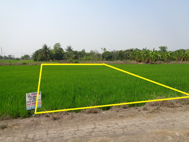 H1188 ขายที่ดิน 99 ตารางวา ใกล้วิทยาลัยเทคนิคนนทบุรี ถนนทางหลวงชนบท สาย3022 ตำบลราษฎร์นิยม อำเภอไทรน้อย นนทบุรี