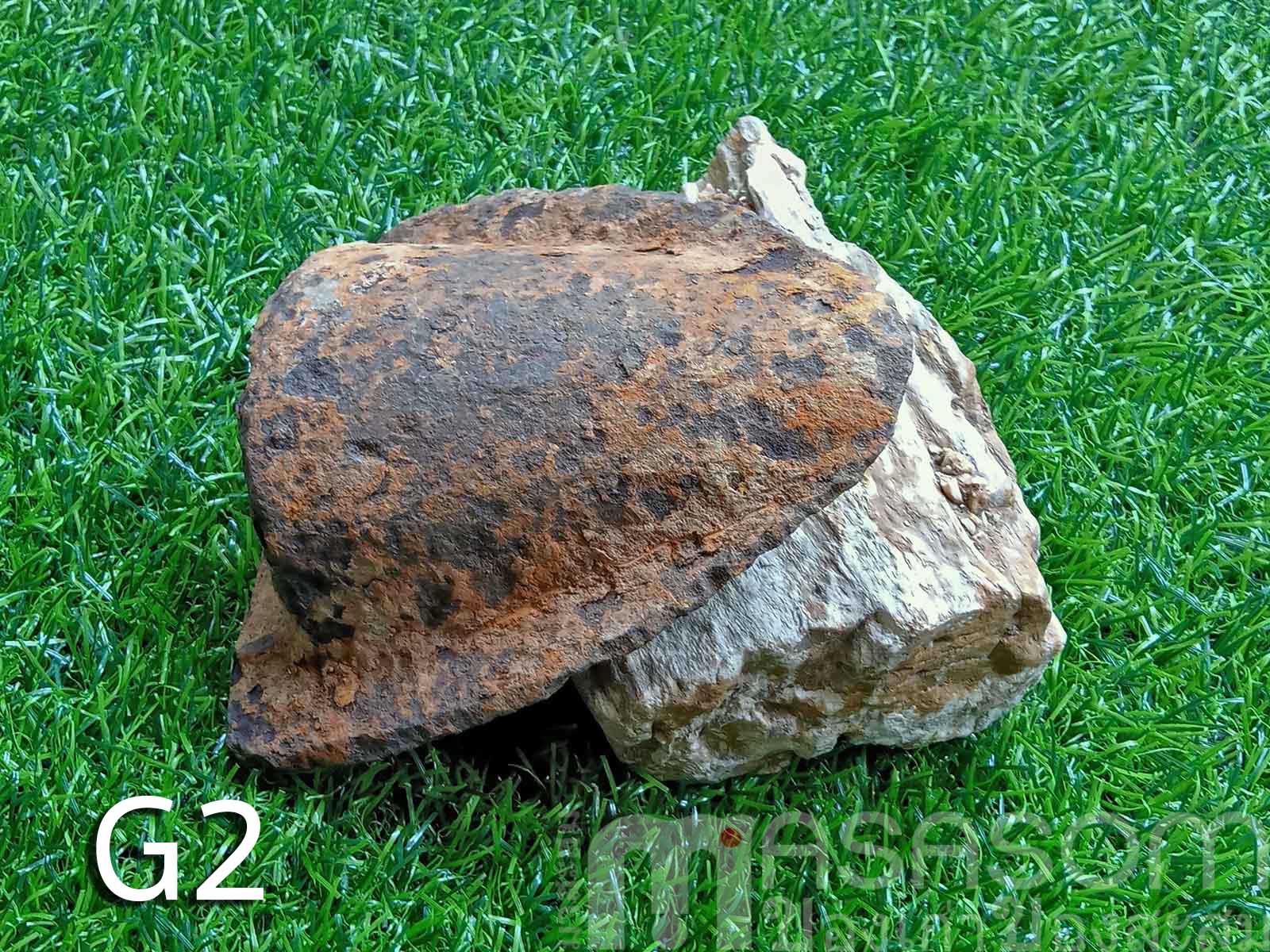 ผานไถนาโบราณG2