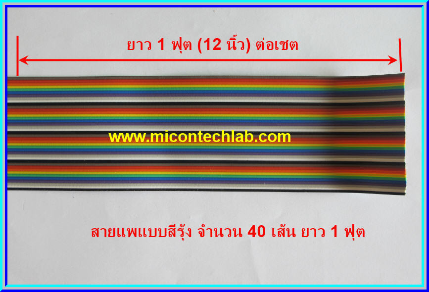 1x Ribbon Flat Cable 28AWG 40 Ways 1 Foot Rainbow (สายแพสีรุ้ง ขนาด 40 เส้นยาว 1 ฟุต)