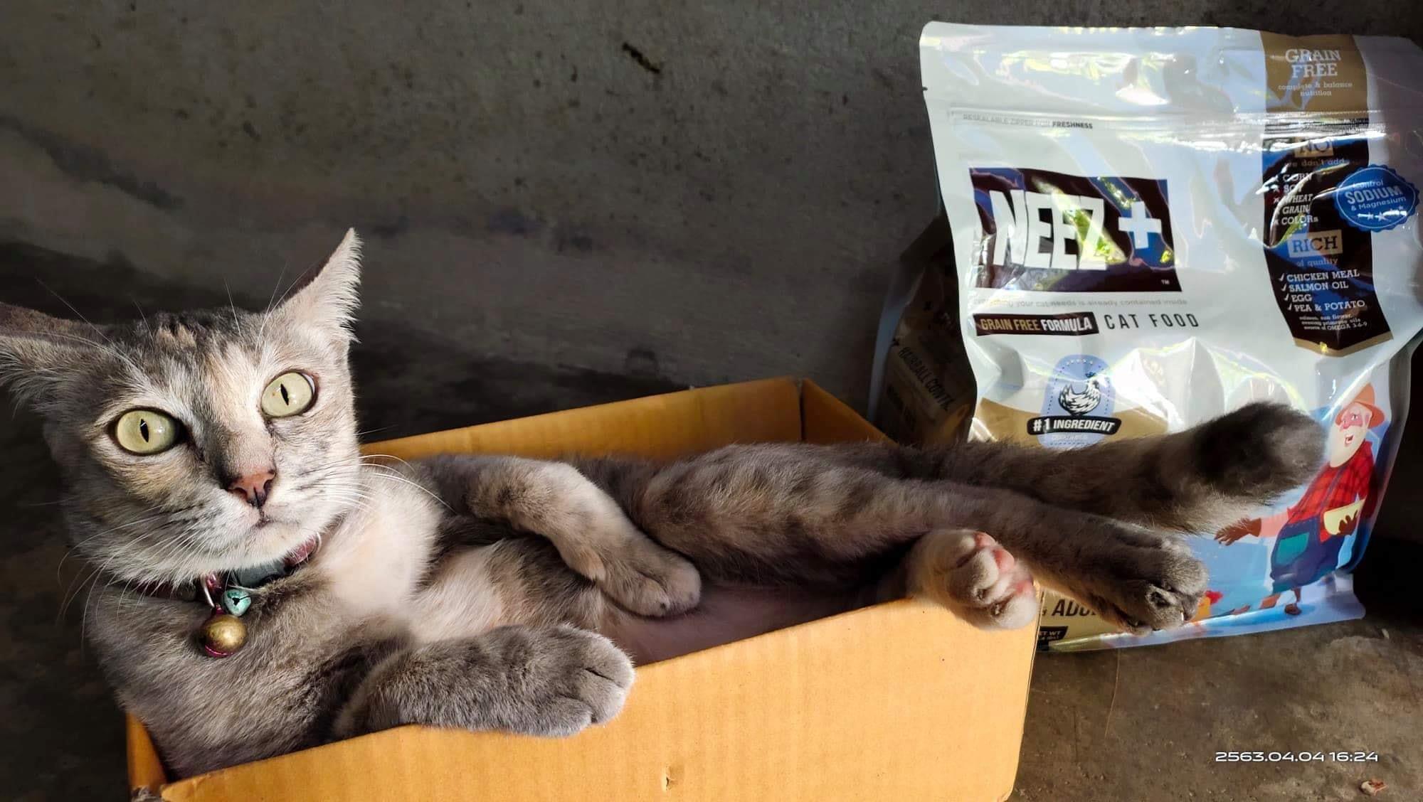 NEEZ+อาหารแมว นีซพลัส เกรนฟรี พรีเมี่ยมสำหรับน้องแมว 🐥สูตรแมวใหญ่ 10 กิโล 1950.- เหมาะกับแมวโต อายุ 4 เดือน-12 ปี (ฟรีส่ง)