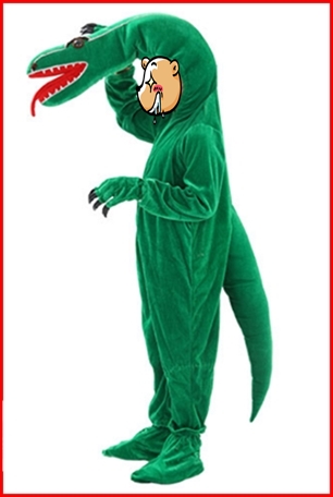 ชุดไดโนเสาร์ผู้ใหญ่ แบบต่าง ๆ