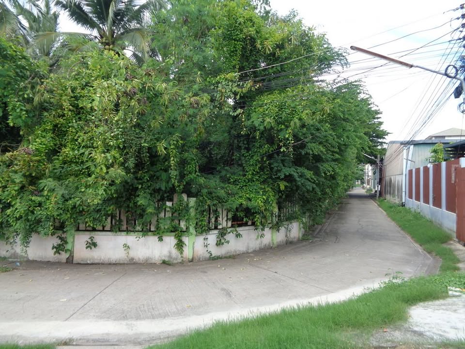 🚩H1273 ขายที่ดินทำเลดี ย่านธุรกิจ 4 -1 -68 ไร่ ติดถนนท่ามะนาว ใกล้ที่ว่าการอำเภอชัยบาดาล จังหวัดลพบุรี