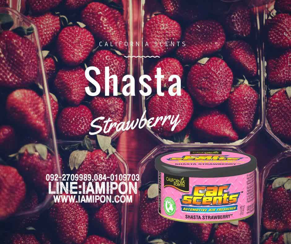 * California scents CAR SCENTS น้ำหอมแท้จากอเมริกา