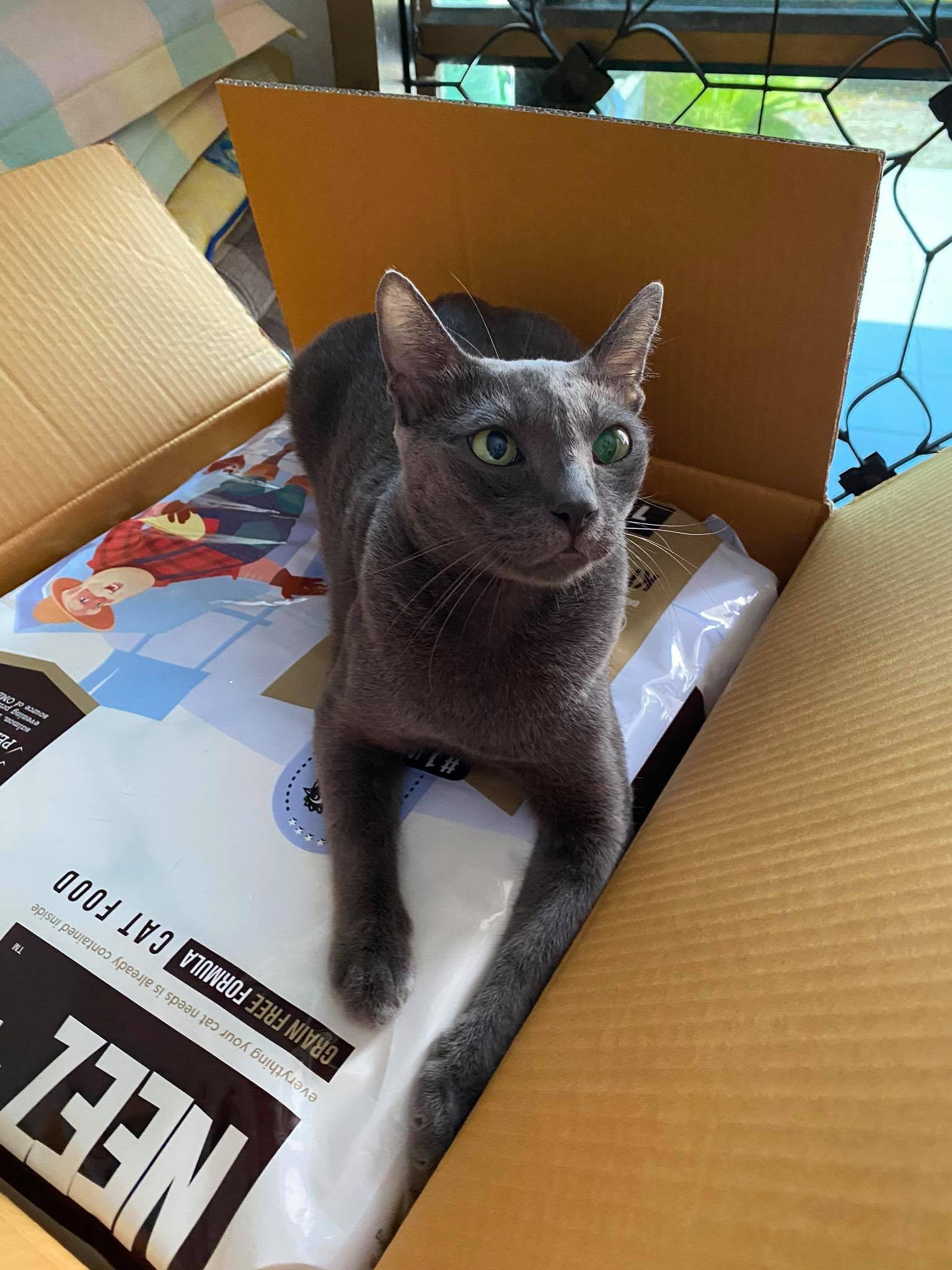 NEEZ+อาหารแมว นีซพลัส เกรนฟรี พรีเมี่ยมสำหรับน้องแมว 🐥สูตรแมวใหญ่ 10 กิโล 1950.- เหมาะกับแมวโต อายุ 4 เดือน-12 ปี (ฟรีส่ง)