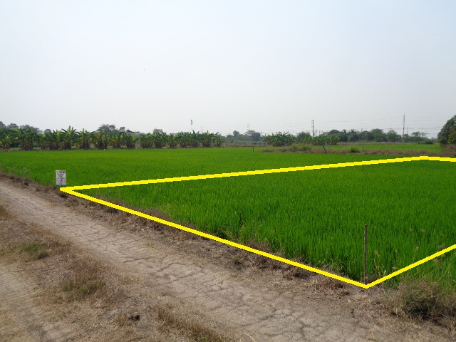 H1188 ขายที่ดิน 99 ตารางวา ใกล้วิทยาลัยเทคนิคนนทบุรี ถนนทางหลวงชนบท สาย3022 ตำบลราษฎร์นิยม อำเภอไทรน้อย นนทบุรี