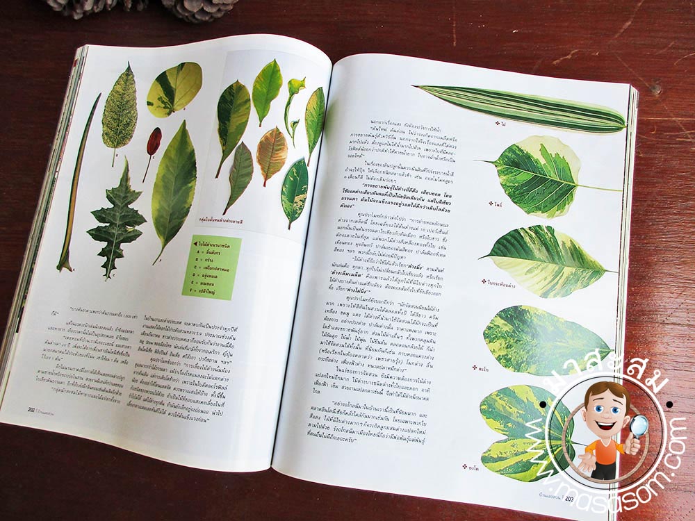 หนังสือเก่าบ้านและสวน