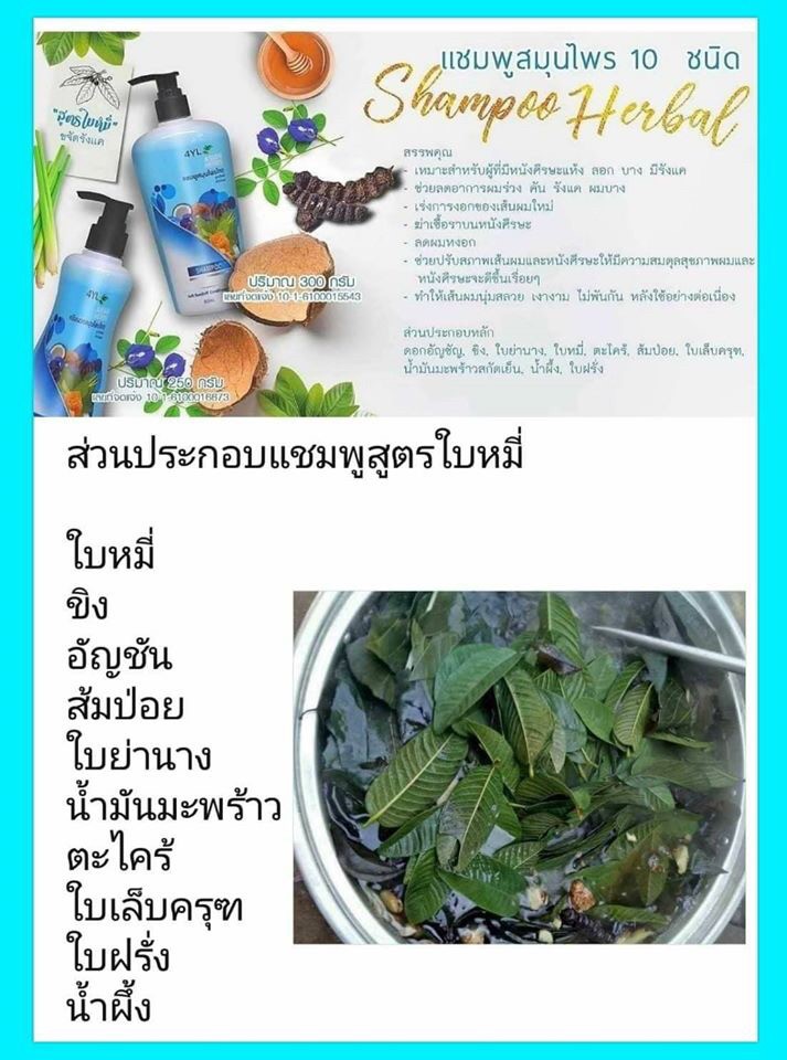 แชมพูสมุนไพรต้มสดเตาถ่าน สูตรใบหมี่ สำหรับ หนังศรีษะแห้ง