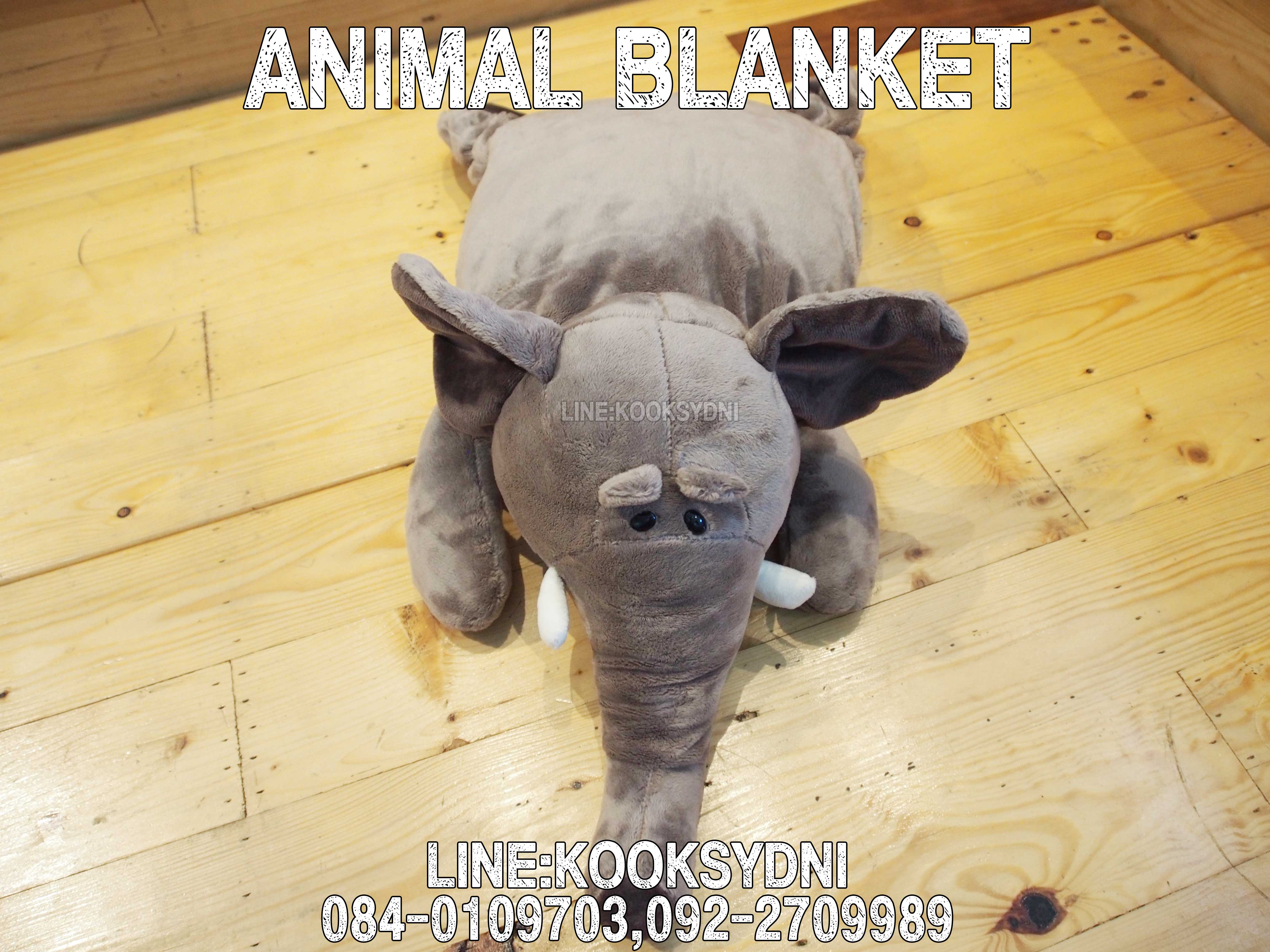 ANIMAL BLANKET ช้างช้างช้าง