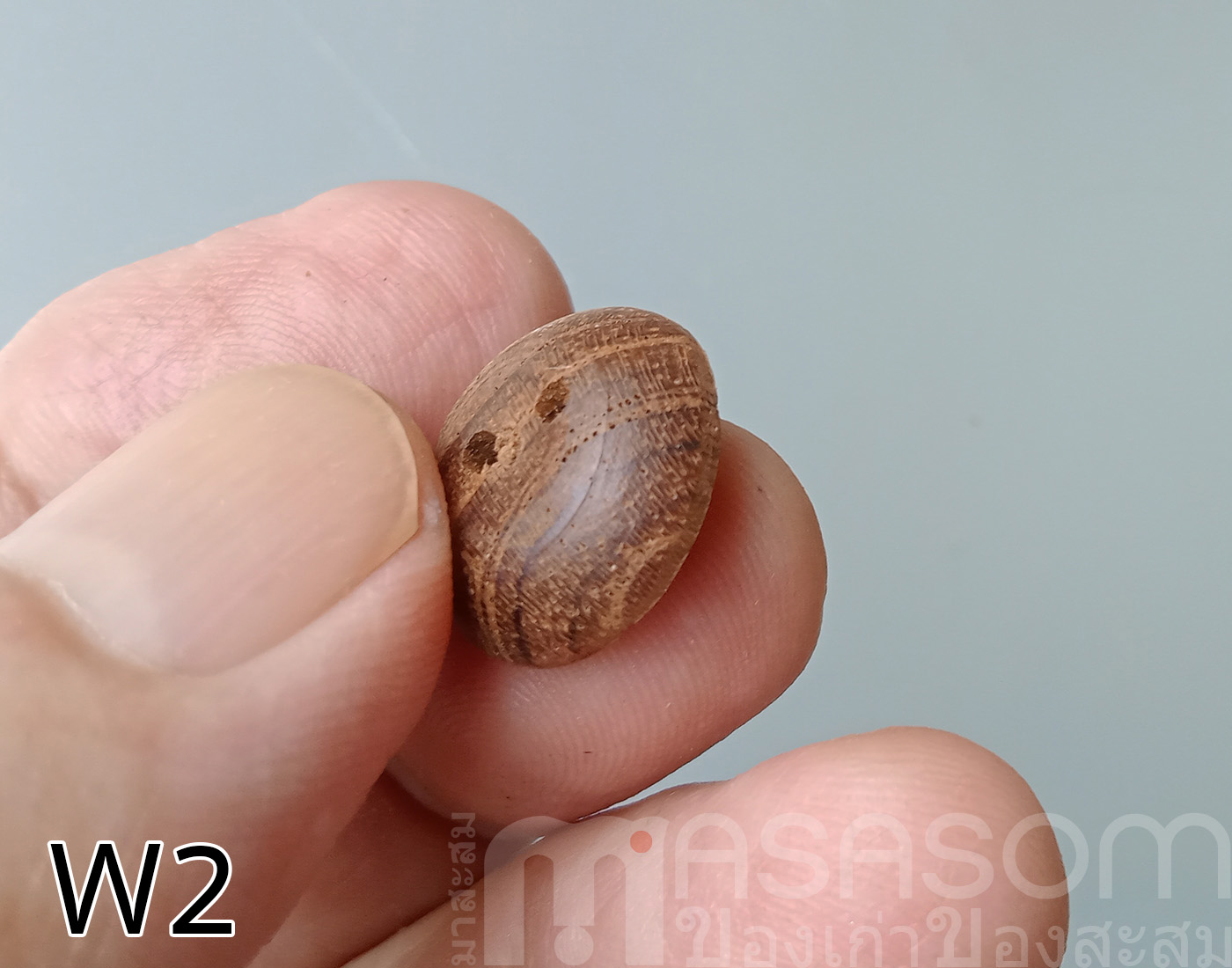 กระดุมไม้สัก