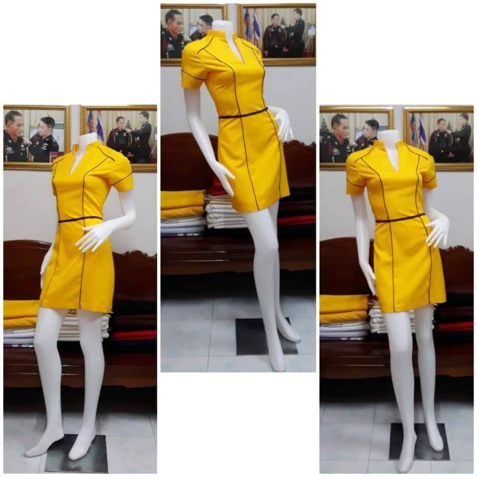 ชุดแอร์โฮสเตรส / ชุดอาชีพในฝัน