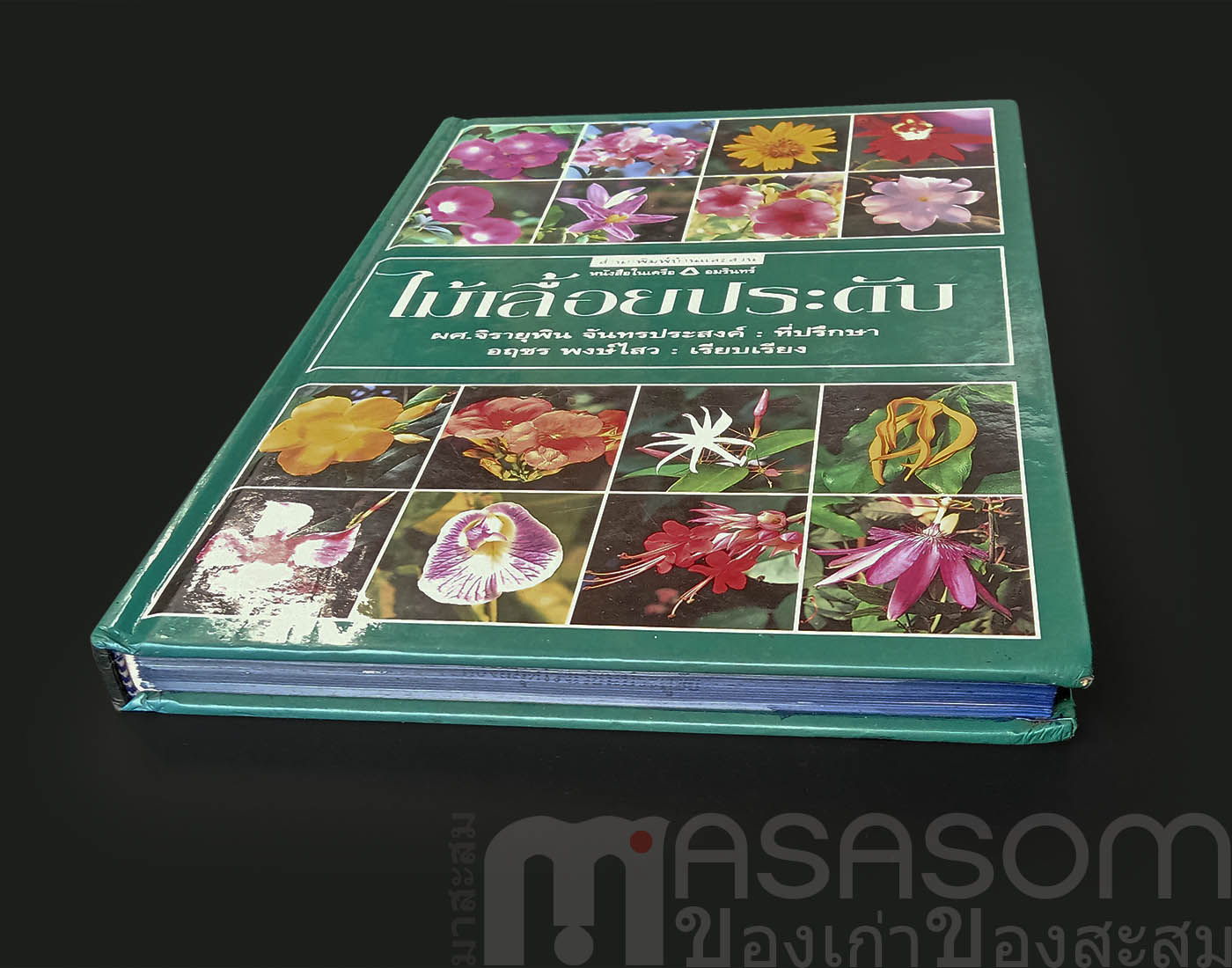 หนังสือไม้เลื้อยประดับ