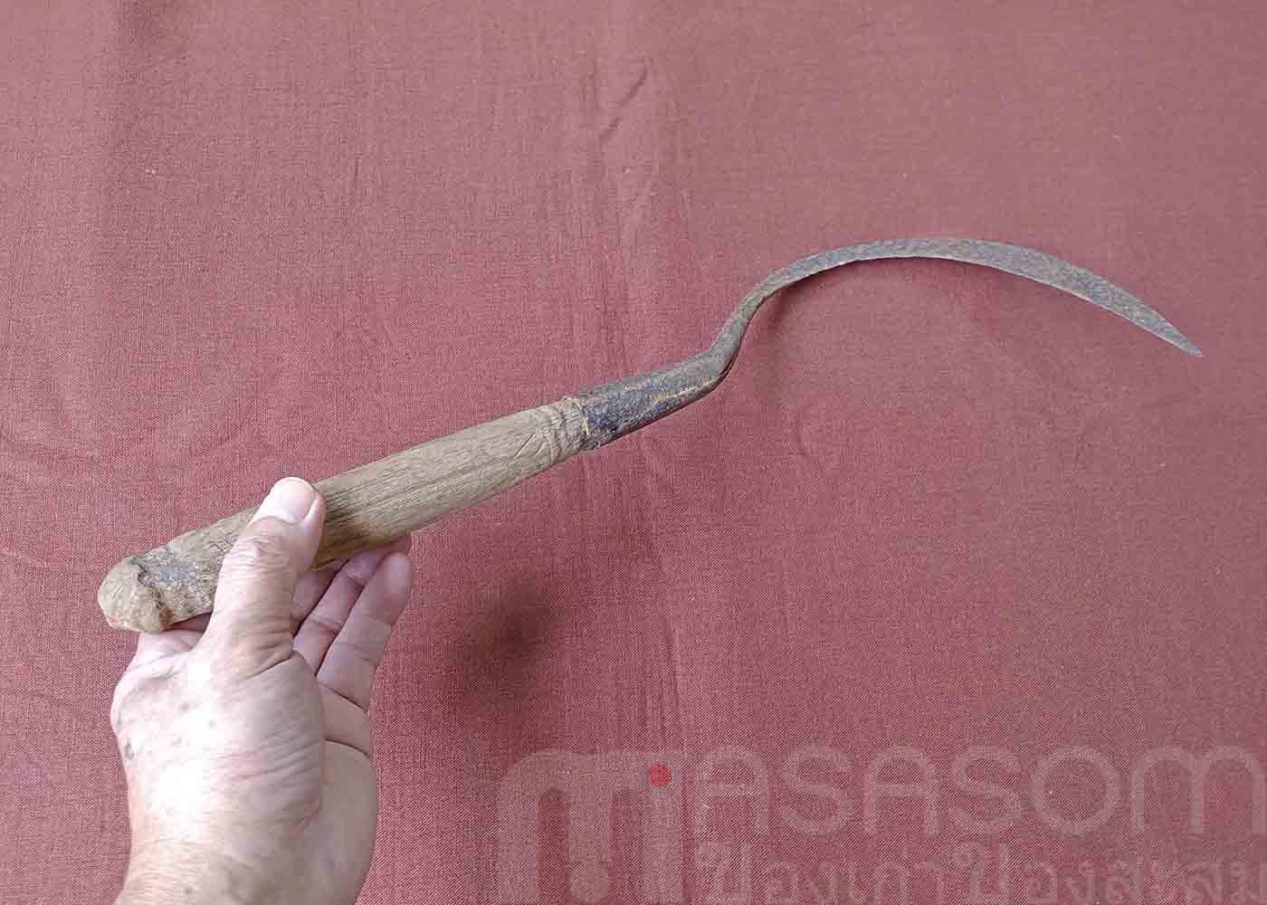 เคียวเกี่ยวข้าวของเก่า