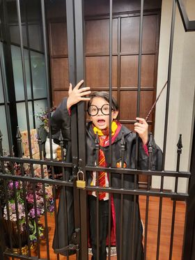 ชุดเสื้อคลุมแฮรี่พ็อตเตอร์ # บ้าน Gryffindor