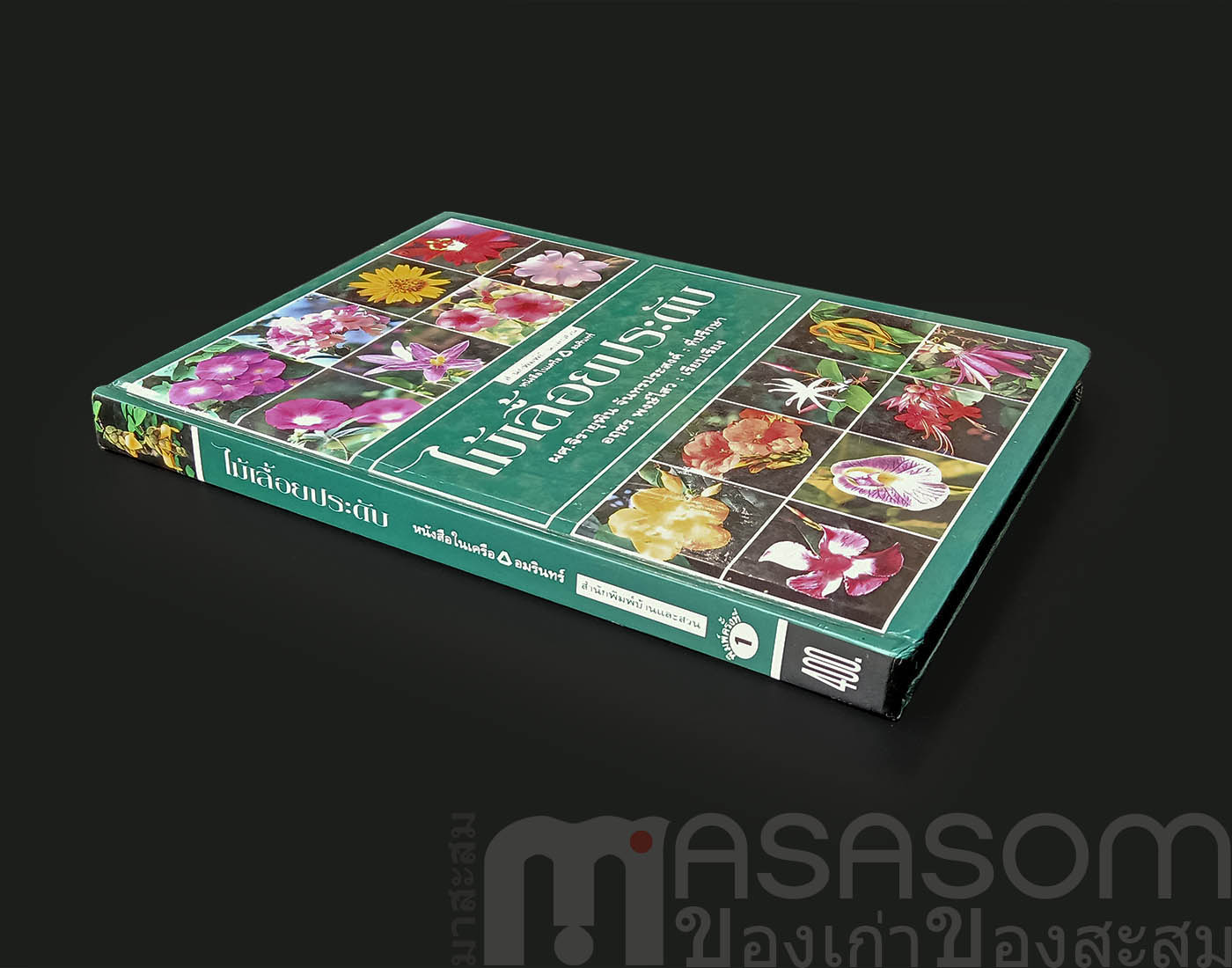 หนังสือไม้เลื้อยประดับ