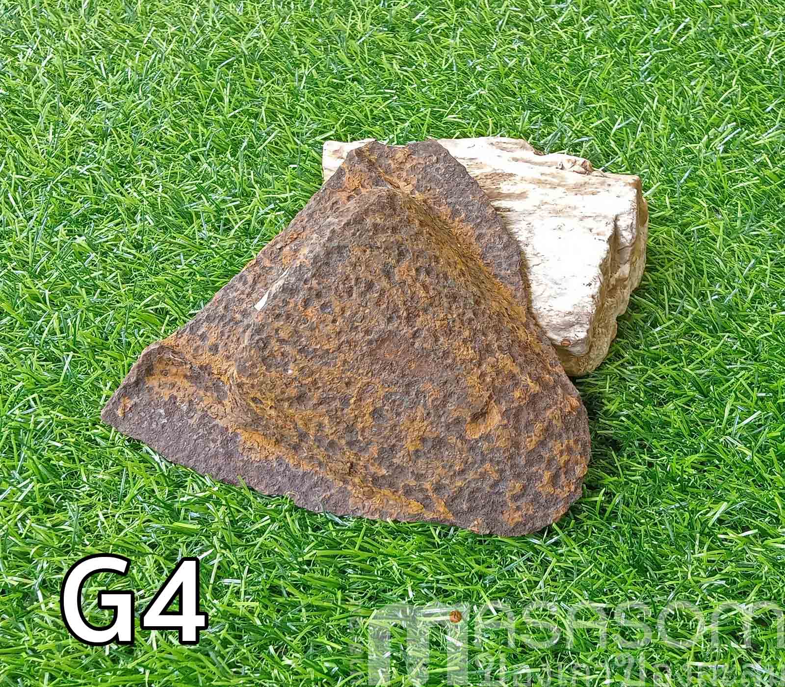 ผานไถนาโบราณ G4