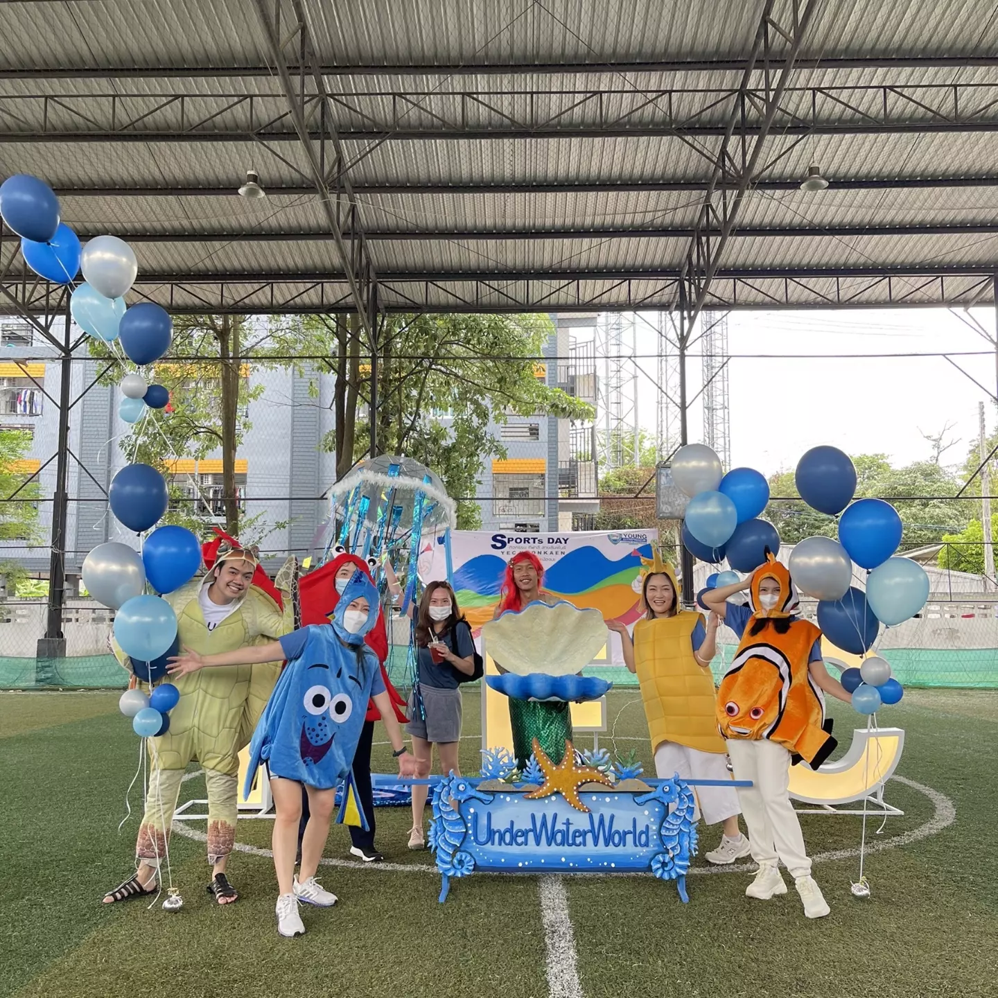 ชุดเต่าตนุ