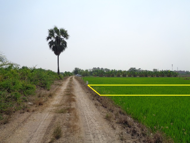 H1188 ขายที่ดิน 99 ตารางวา ใกล้วิทยาลัยเทคนิคนนทบุรี ถนนทางหลวงชนบท สาย3022 ตำบลราษฎร์นิยม อำเภอไทรน้อย นนทบุรี