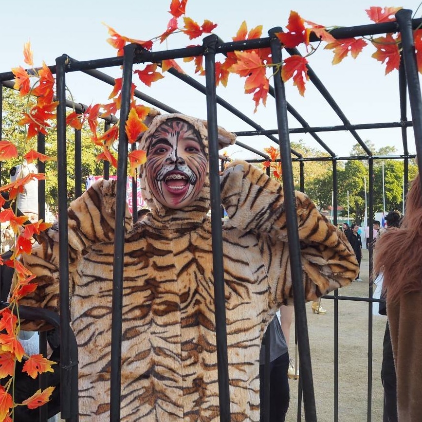 ชุดสิงโต