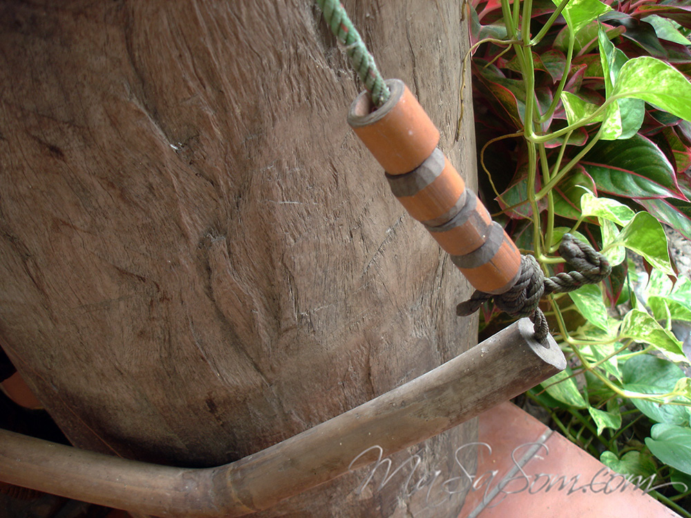 ทามผูกคอวัว