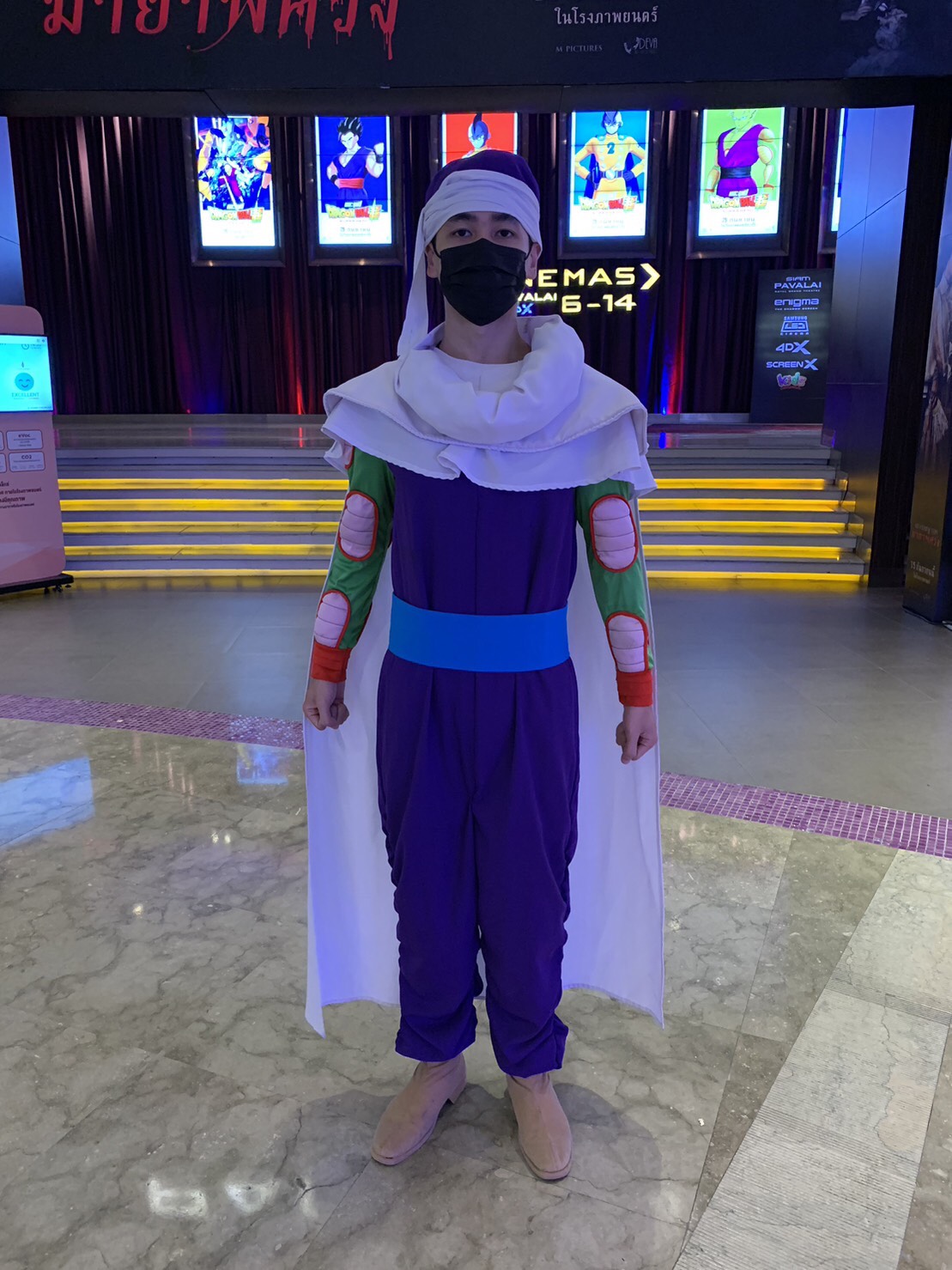 ชุดพิคโกโร่