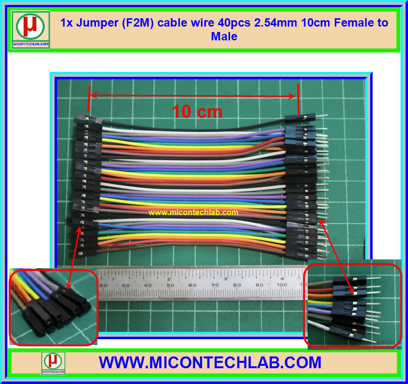 1x จั๊มเปอร์ปลายผู้เมีย (F2M) 40 เส้น 10 ซม. (Jumper)