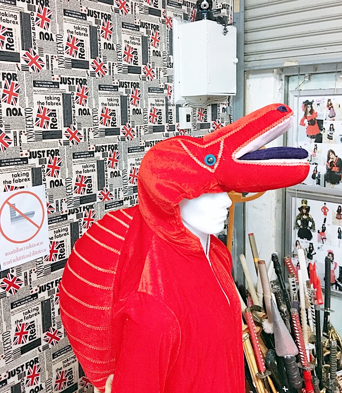 ชุดไดโนเสาร์ผู้ใหญ่ แบบต่าง ๆ