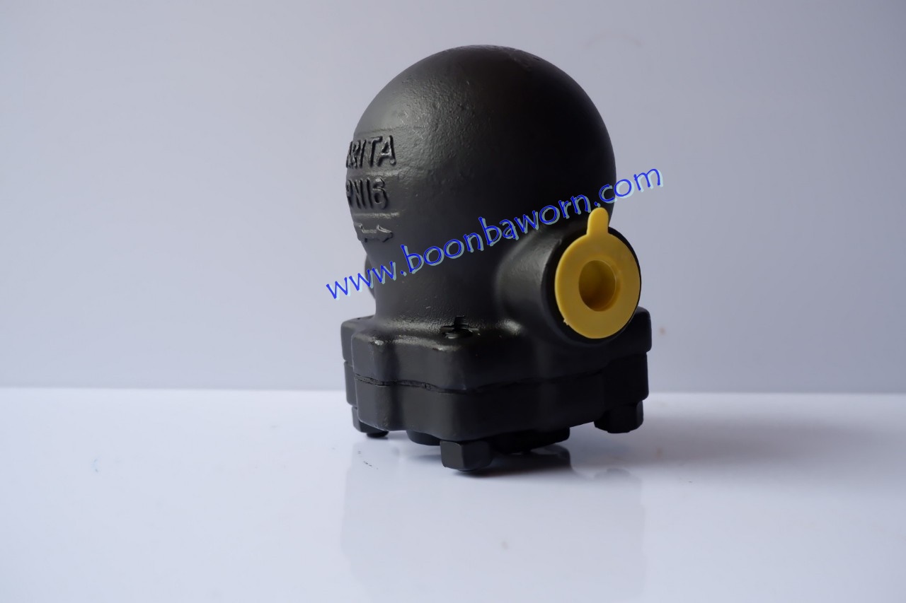 Ball Float Steam Trap