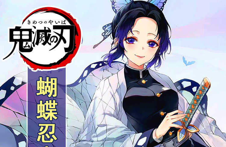 ชุดดาบพิฆาตอสูร / ดาบพิฆาตอสูร Demon Slayer