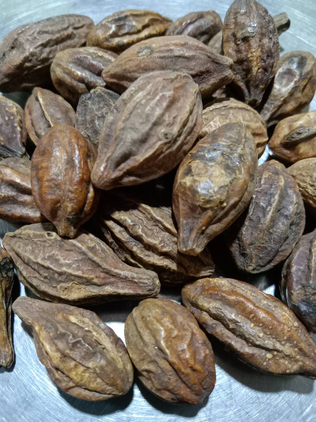 สมอเทศ
