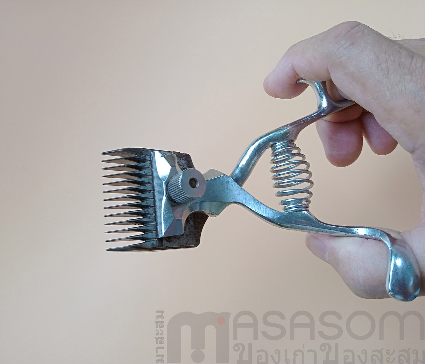 ปัตตาเลี่ยนมือเยอรมันใหญ่