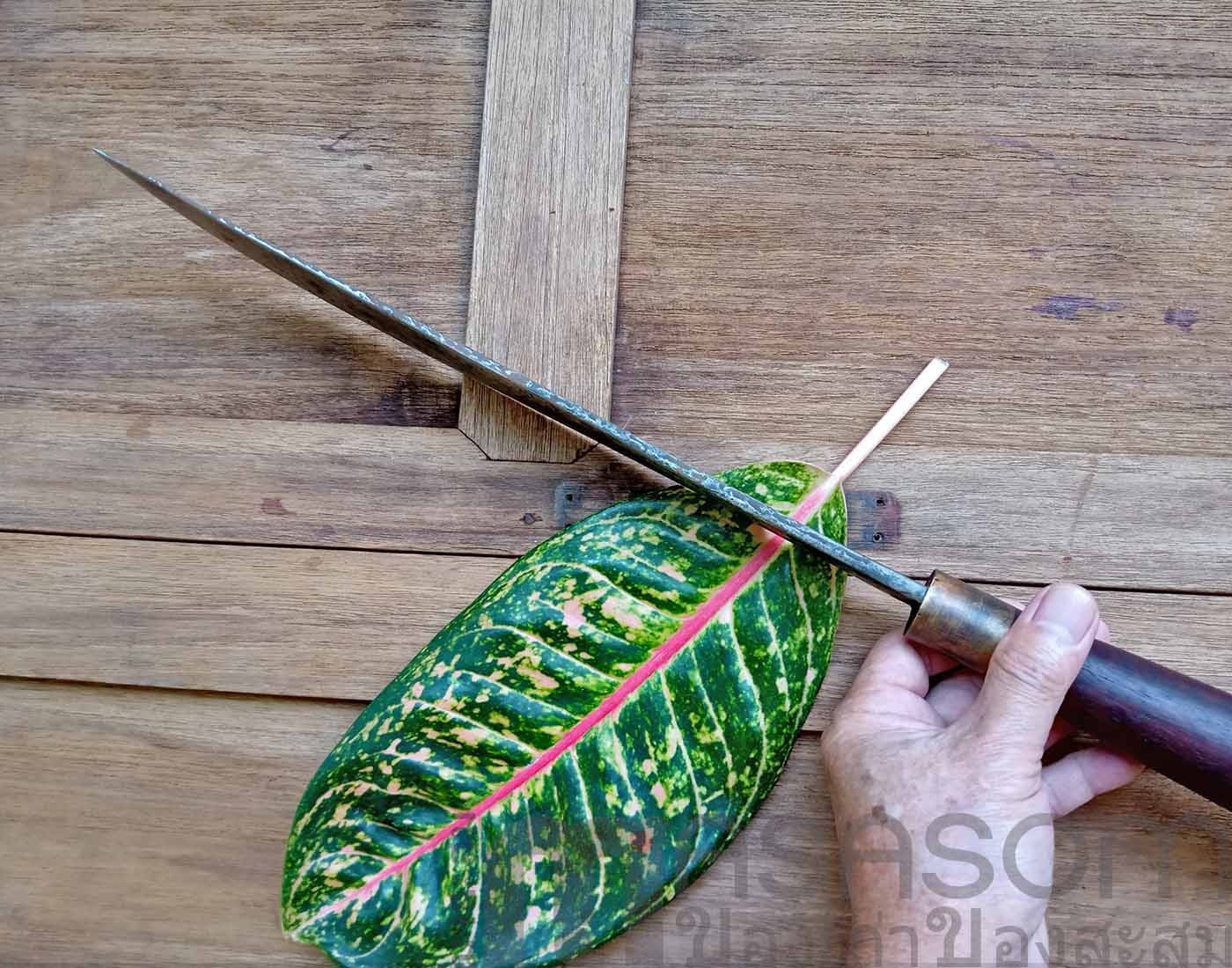 มีดเหน็บเก่ามีฝัก