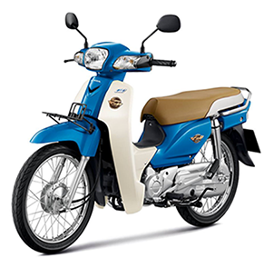 ชุดสี Dream110i ปี 2016 แท้ ศูนย์ ชุด 17 ชิ้น