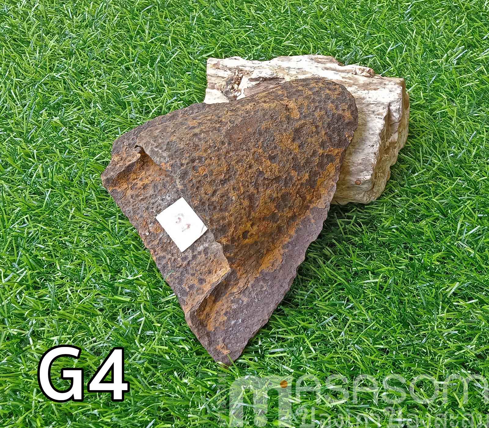 ผานไถนาโบราณ G4