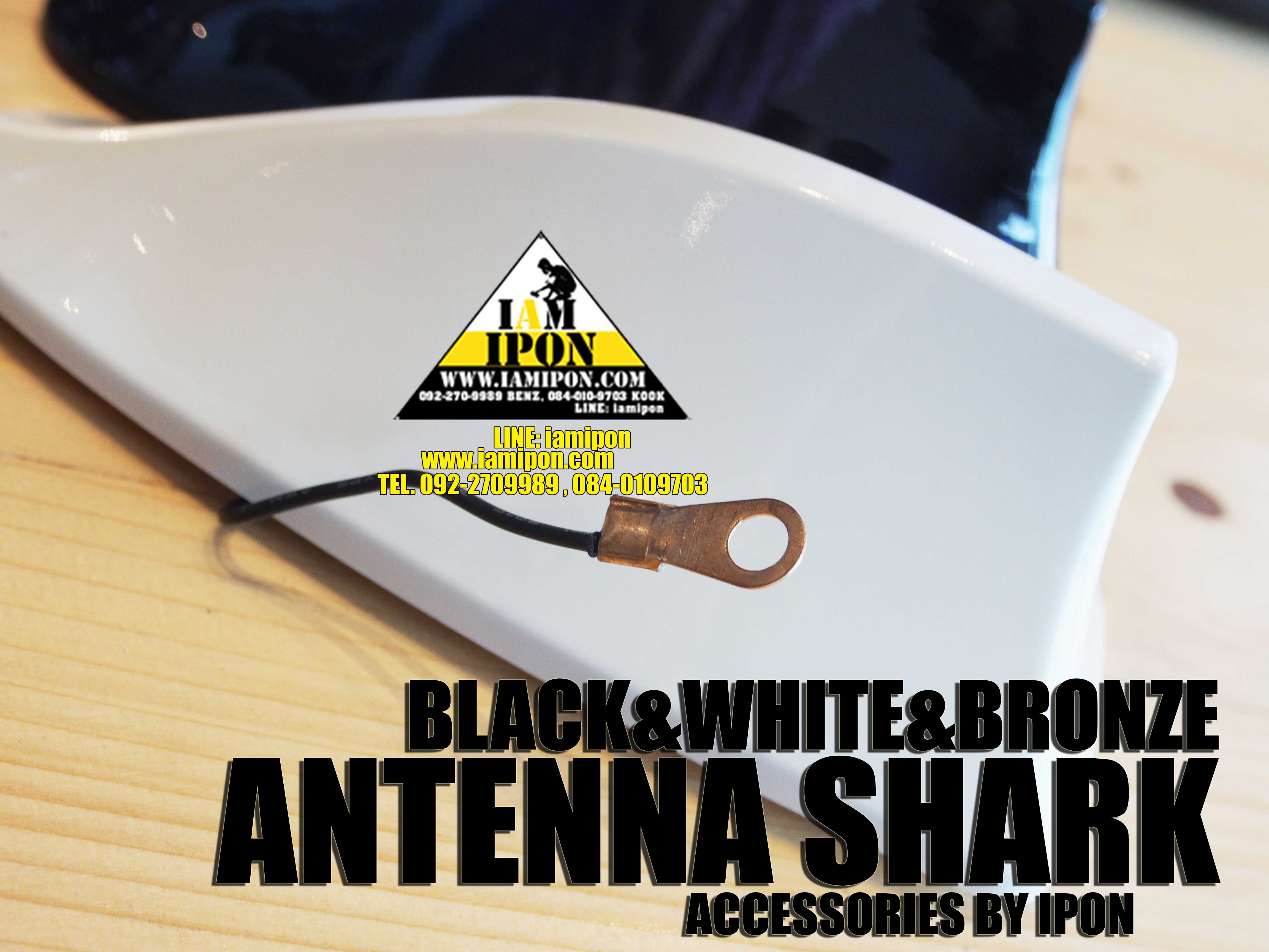 ANTENNA SHARK เสาอากาศ ครียฉลาม
