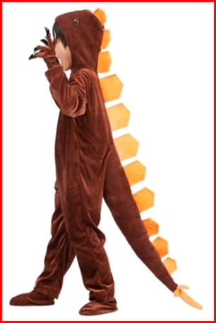 ชุดไดโนเสาร์ผู้ใหญ่ แบบต่าง ๆ