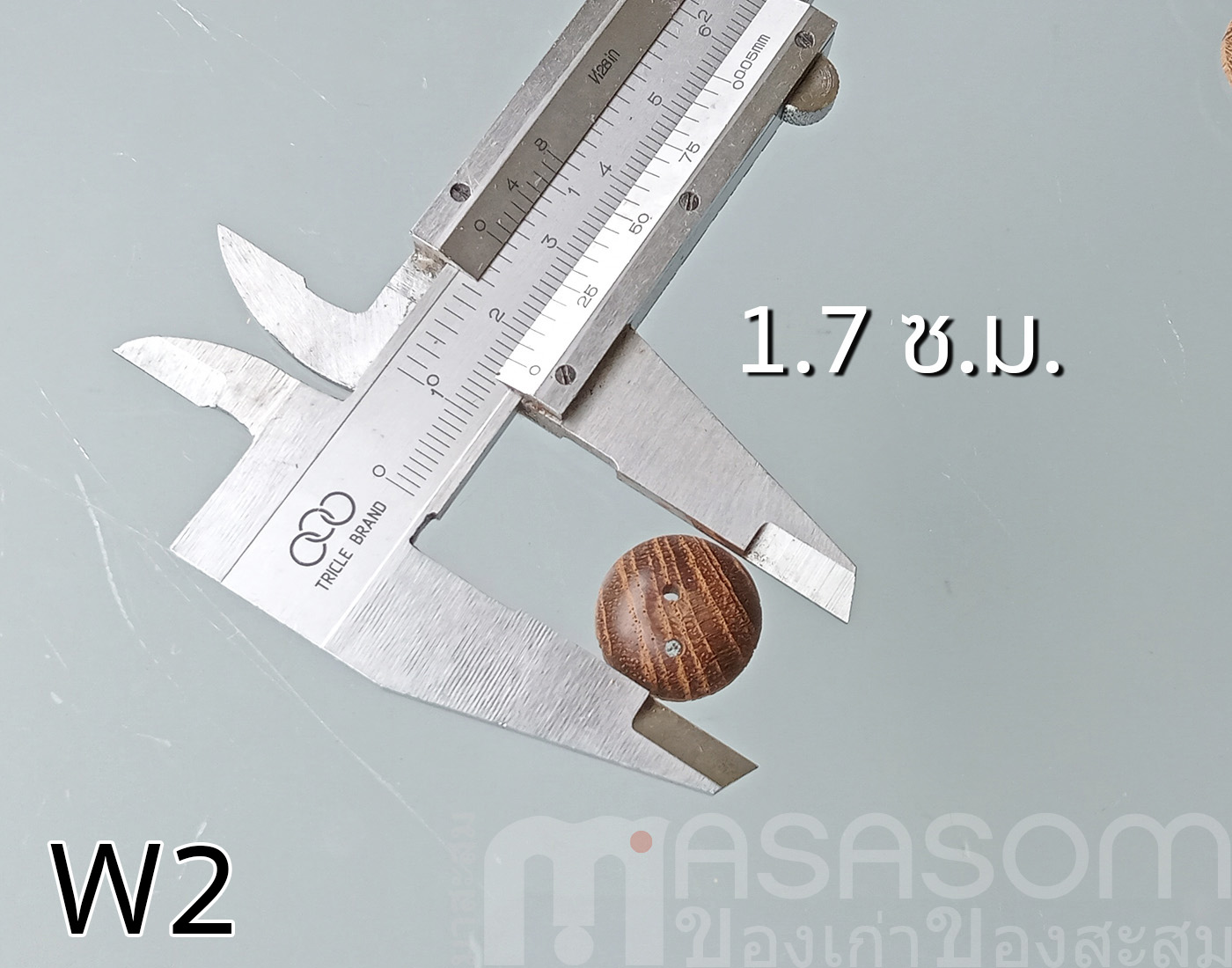 กระดุมไม้สัก