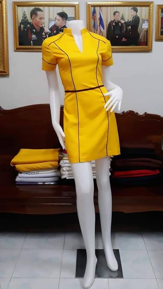 ชุดแอร์โฮสเตรส / ชุดอาชีพในฝัน