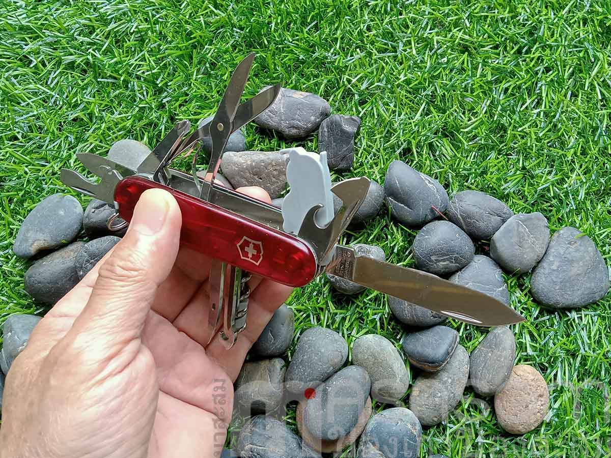 มีดพับสวิสของแท้