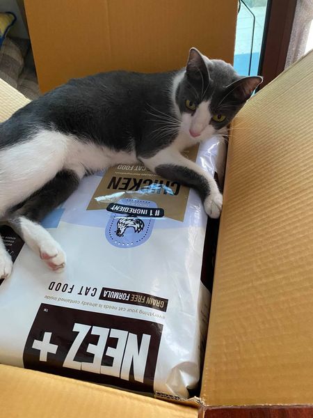 NEEZ+อาหารแมว นีซพลัส เกรนฟรี พรีเมี่ยมสำหรับน้องแมว 🐥สูตรแมวใหญ่ 10 กิโล 1950.- เหมาะกับแมวโต อายุ 4 เดือน-12 ปี (ฟรีส่ง)