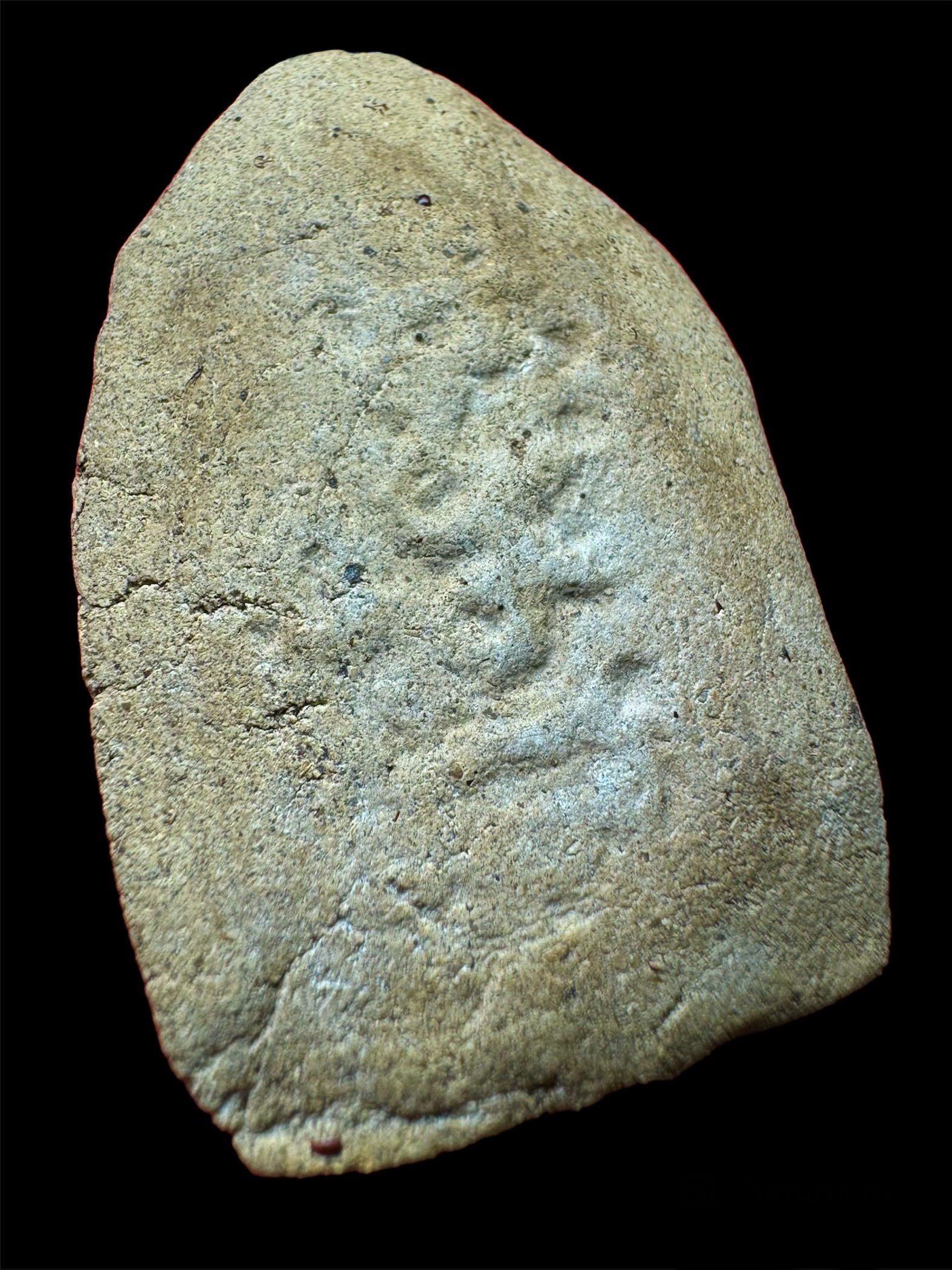 พระขุนแผนเนื้อผง ยุคแรก อุดกริ่ง หลวงปู่มหาศิลา สิริจันโท ออกวัดธาตุประดับ จ.ร้อยเอ็ด สุดยอดของดียุคแรกของหลวงปู่