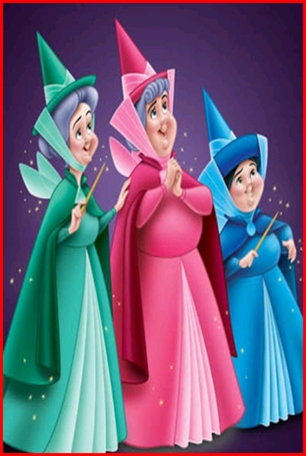 ชุดนางฟ้าแม่ทูนหัว / fairy godmother /