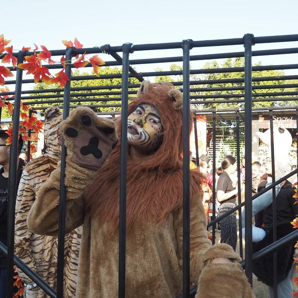 ชุดสิงโต